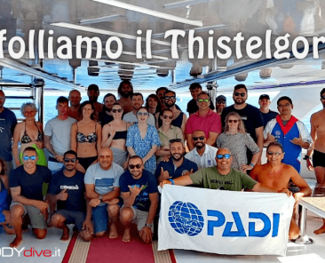 affolliamo il thistelgorm i buddydive a sharm