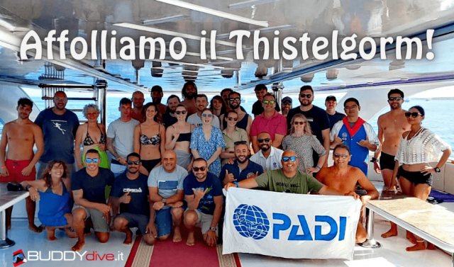 affolliamo il thistelgorm i buddydive a sharm