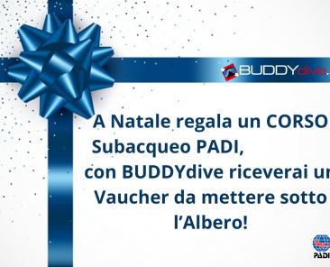 natale regala corso subacqueo padi con buddydive.it