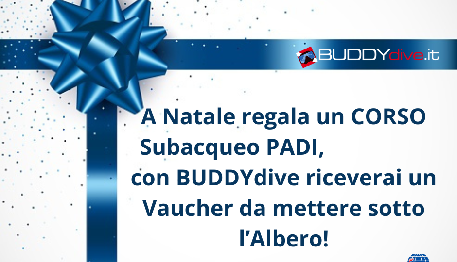 natale regala corso subacqueo padi con buddydive.it