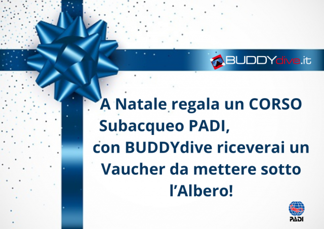 natale regala corso subacqueo padi con buddydive.it