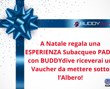 natale regala una esperienza subacquea padi con buddydive.it in toscana_livorno_lucca