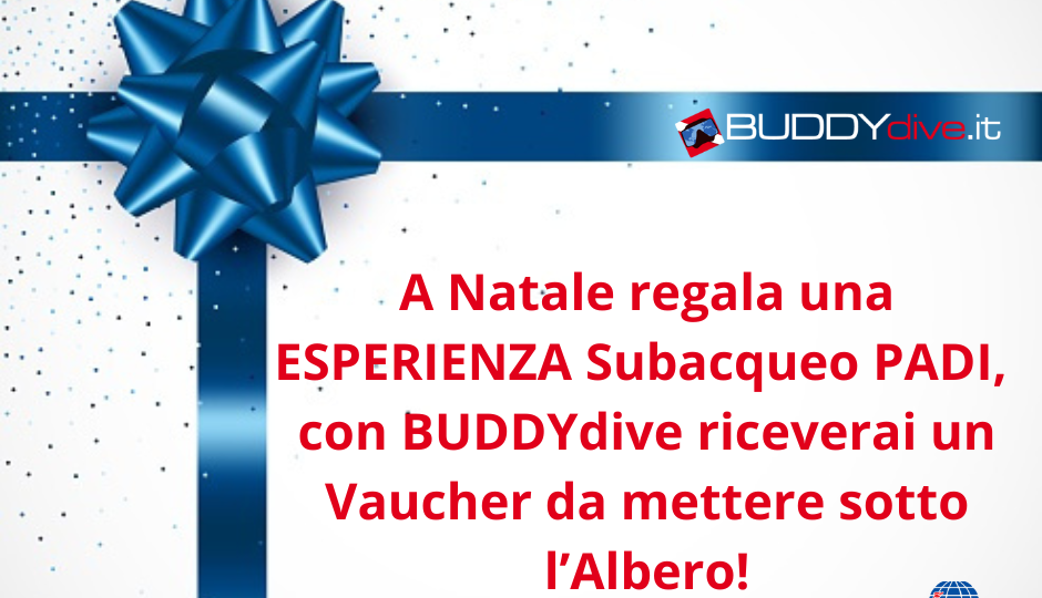 natale regala una esperienza subacquea padi con buddydive.it in toscana_livorno_lucca