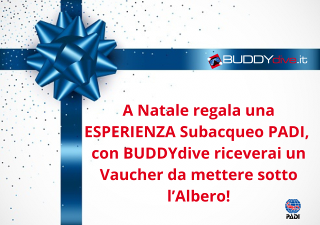 natale regala una esperienza subacquea padi con buddydive.it in toscana_livorno_lucca