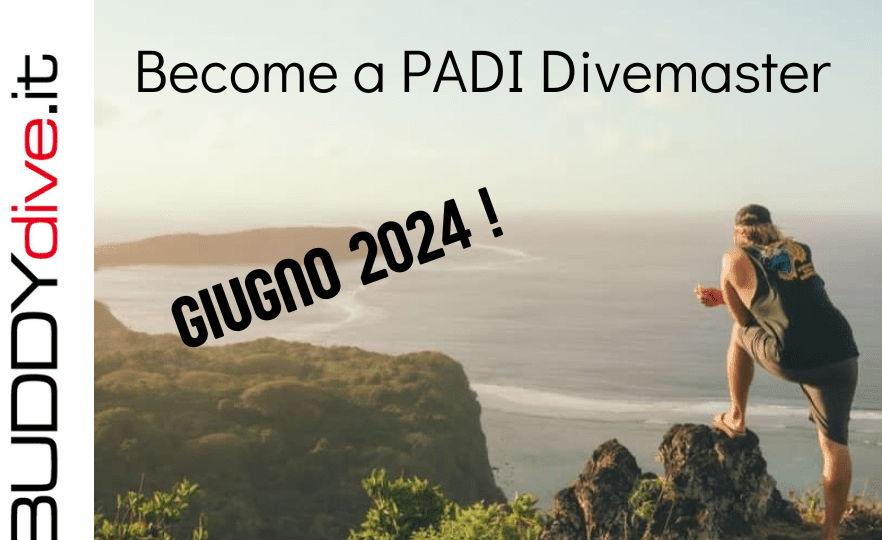 corso padi divemaster by buddydive lucca pistoia livorno massa_post