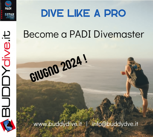 corso padi divemaster by buddydive lucca pistoia livorno massa_post