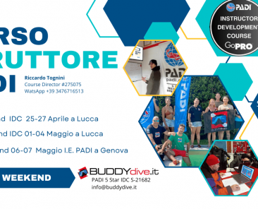 istruttore_sub_idc_padi_efrinstructor_idcitalia_idctoscana_idclucca_idcmassa_idcpistoia_idcprato_idcfirenze_idcpisa_idcsiena_idclivorno_idcgrosseto_riccardotogninipadicoursedirector