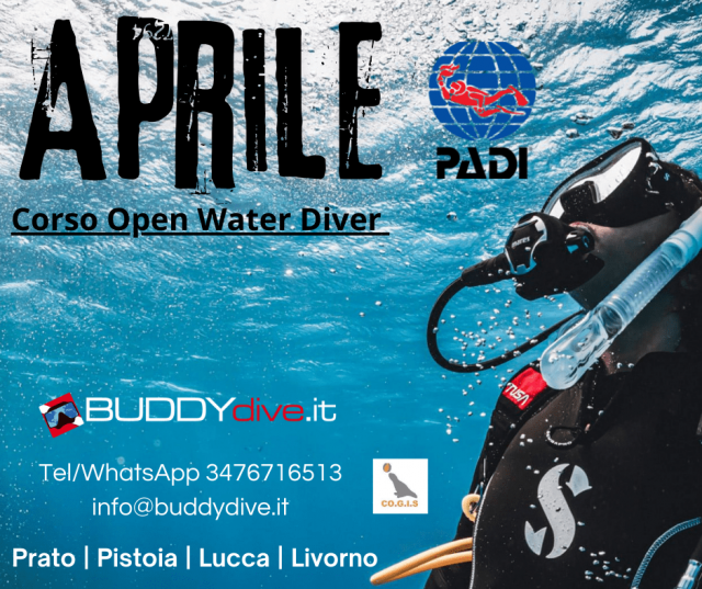 buddydive_corsoopenwaterdiverpadi_lucca_massa_pistoia_prato_firenze_livorno_grosseto_siena_aprile_post