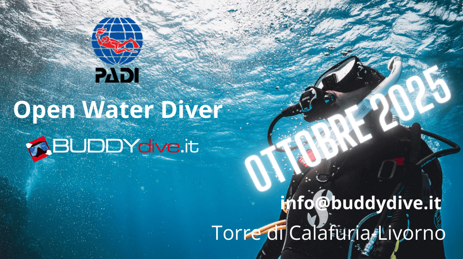 #corsoopenwaterpadibuddydive, #corsosubtoscana, #corsipaditoscana, #buddydive_padi_toscana, (2)