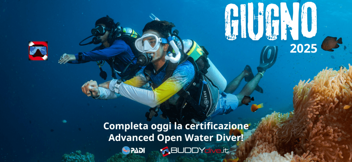 buddydive, centroformazionepadi, advanced, paditoscana, padifirenze, padipistoia, padiprato, padisiena, padiarezzo, padimassa, padilucca, padilivorno, padigrosseto, padipisa, AOW_FB